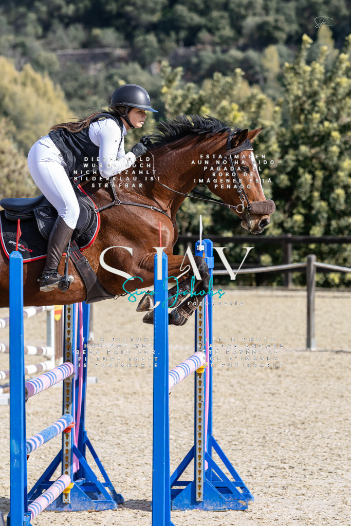 IMG_0492 | s-jay-photography - Realisiert mit Pictrs.com