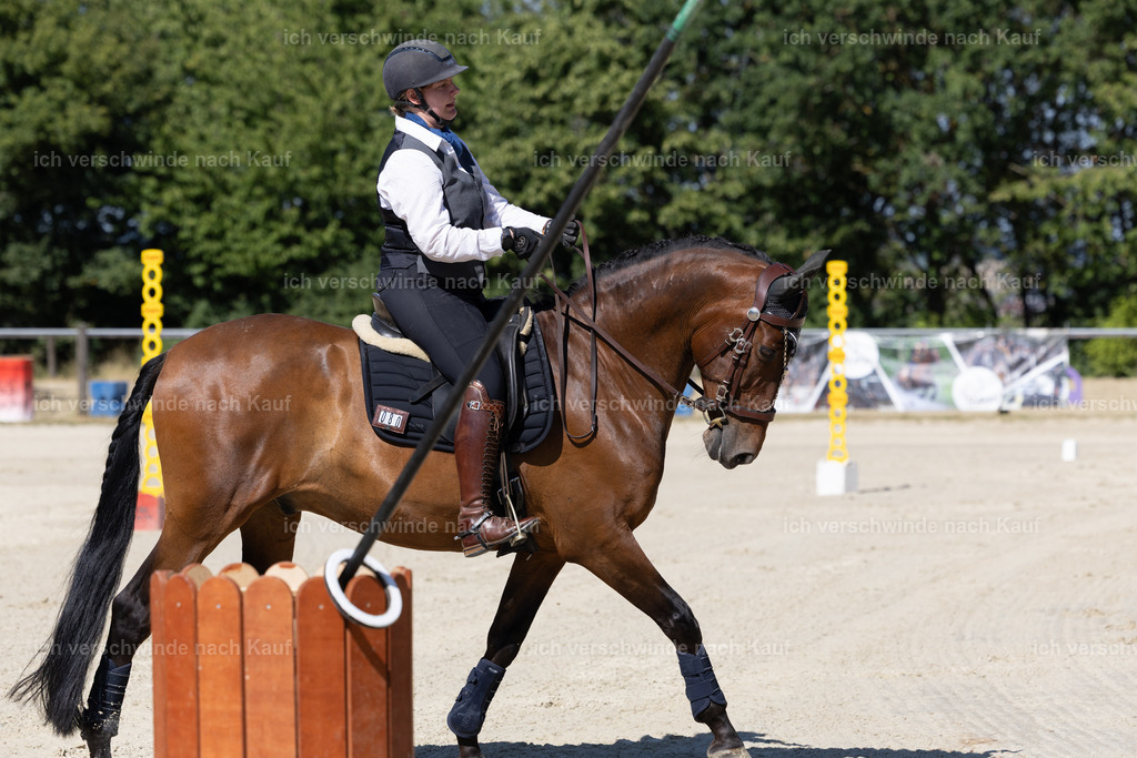 WE_Trail_80_KerstinBernhardt-12 | working equitationturnier fotograf videograf stoibphotography marixx film working equitation deutschland reitsport turnierfotografie eventfotografie equestrian events