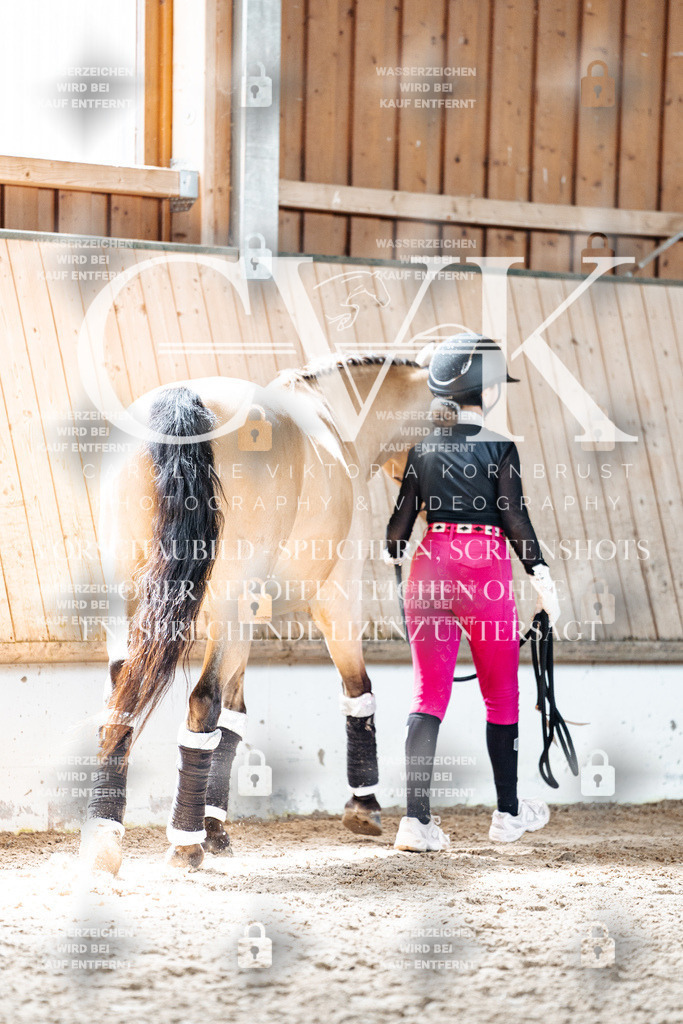 CK907207 | Turnierfotografie Pferdefotografie Trier Rheinland-Pfalz Pferdesport Reitsport Tierfotografie Sportfotografie Pferdevideo Pferdevideografie Equestrianvideography equestrianphotography  - Realized with Pictrs.com