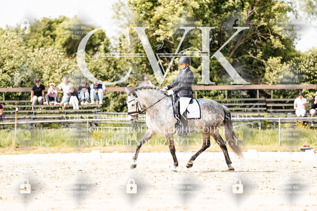CK901569 | Turnierfotografie Pferdefotografie Trier Rheinland-Pfalz Pferdesport Reitsport Tierfotografie Sportfotografie Pferdevideo Pferdevideografie Equestrianvideography equestrianphotography  - Realisiert mit Pictrs.com