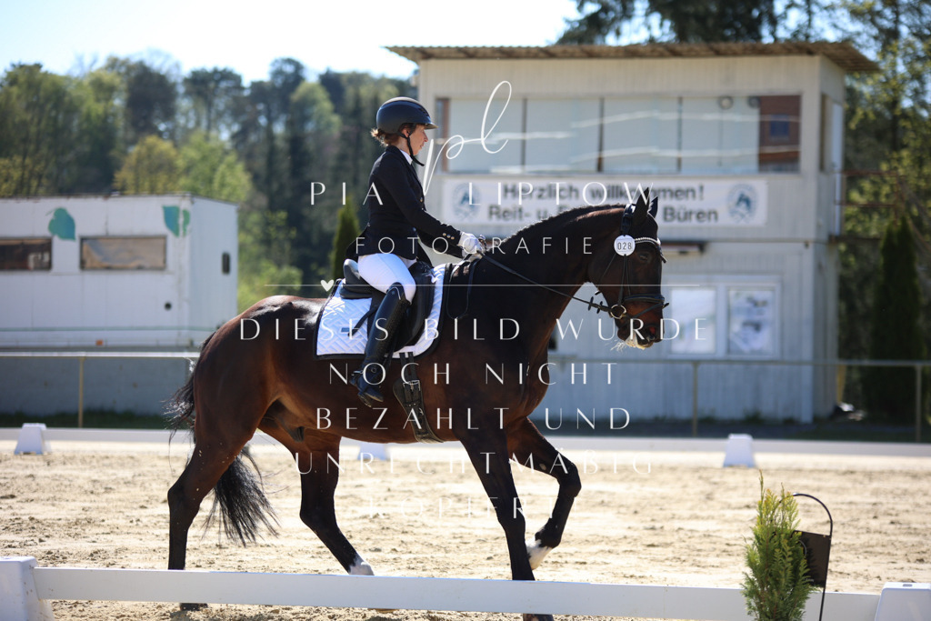 IMGT9542 | pl-fotografie