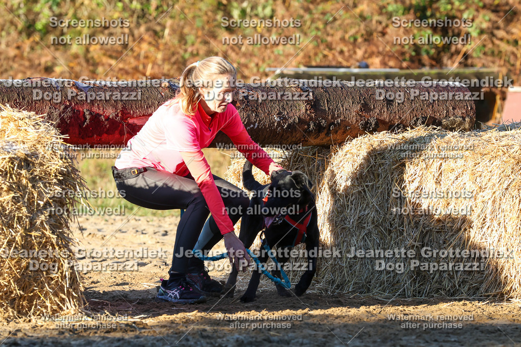 Dog Paparazzi - Strongdog 10-25-864 | Dog Paparazzi Jeanette Grottendiek Fotografie & Videografie - Realisiert mit Pictrs.com