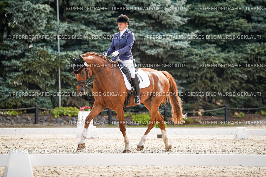 DSC07291 | Pferdegrafie