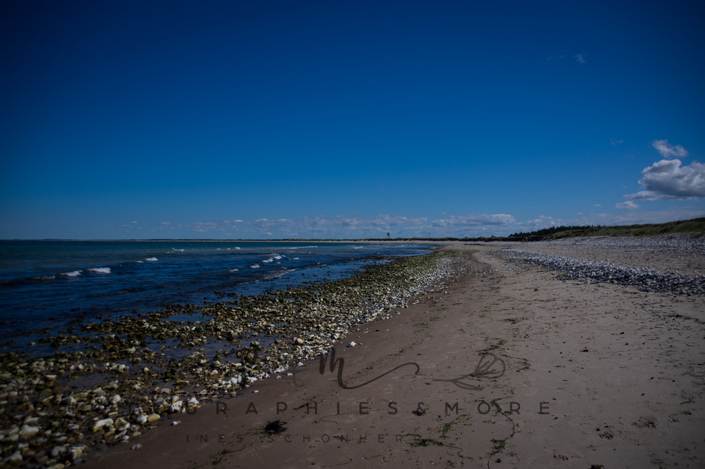 _Sommer2022-0680 | Photographies and more - Realisiert mit Pictrs.com