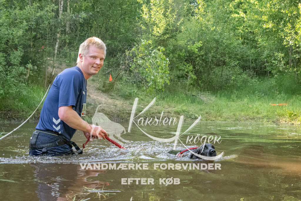 1745DKK992549 | kk-dogfotos