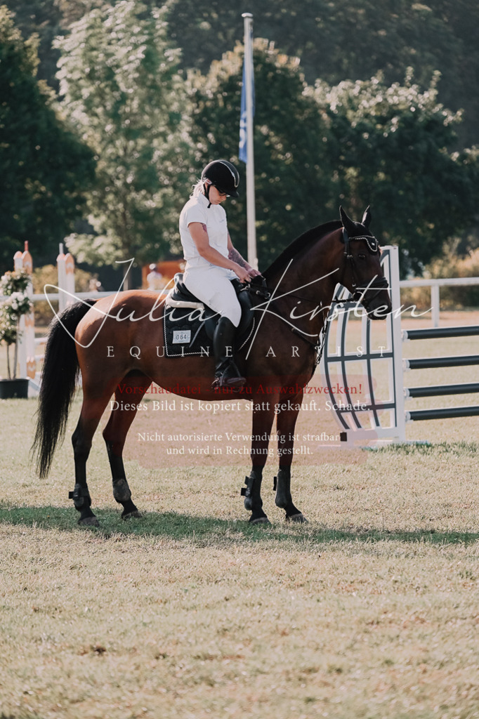 DSC_4608 | Pferde- und Turnierfotografie in Westsachsen. Pferdeportraits, Auftragszeichnungen und intuitive Kunst.