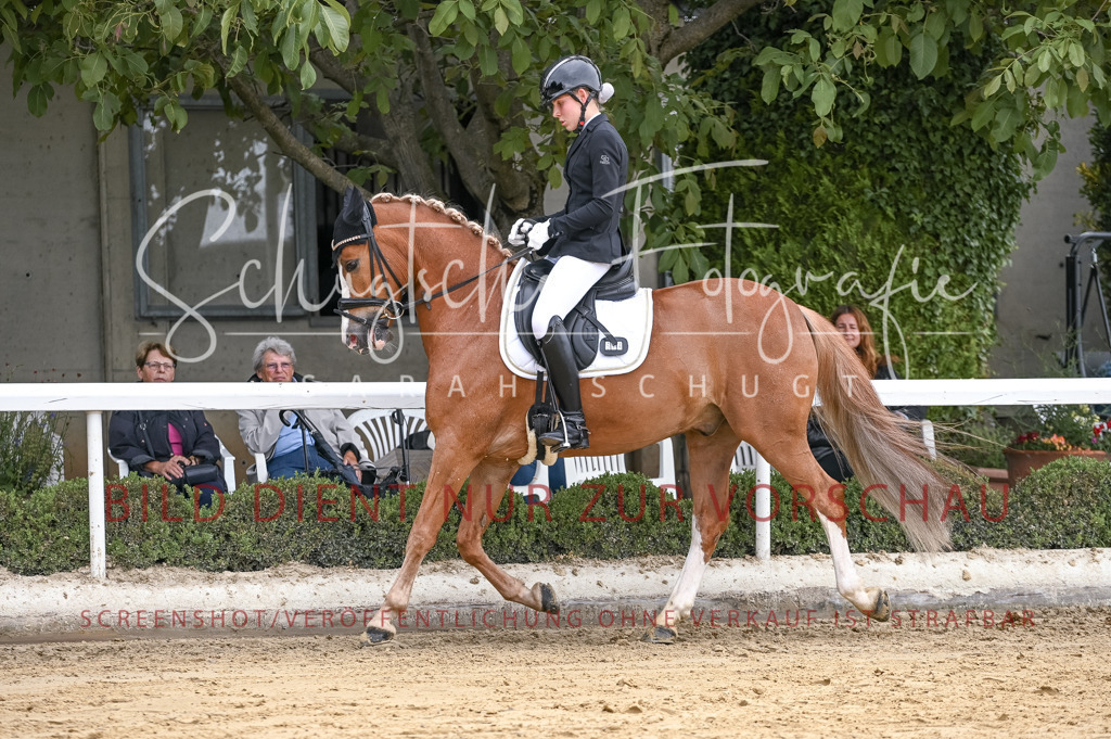 Schugtsche-Aluta25-42.EDressur -124 | Schugtsche Fotografie - Realisiert mit Pictrs.com
