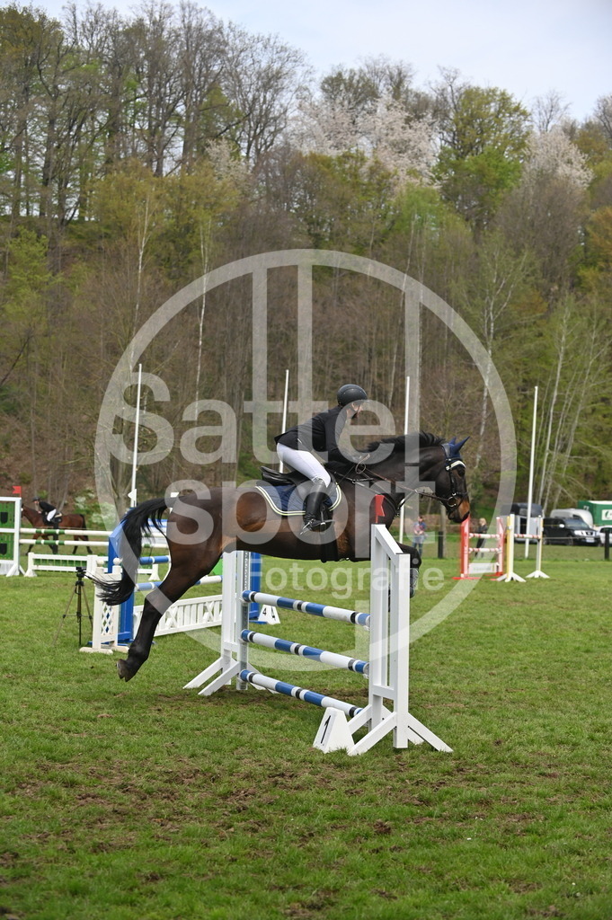 DSC_1600 | sattelsport - Realisiert mit Pictrs.com