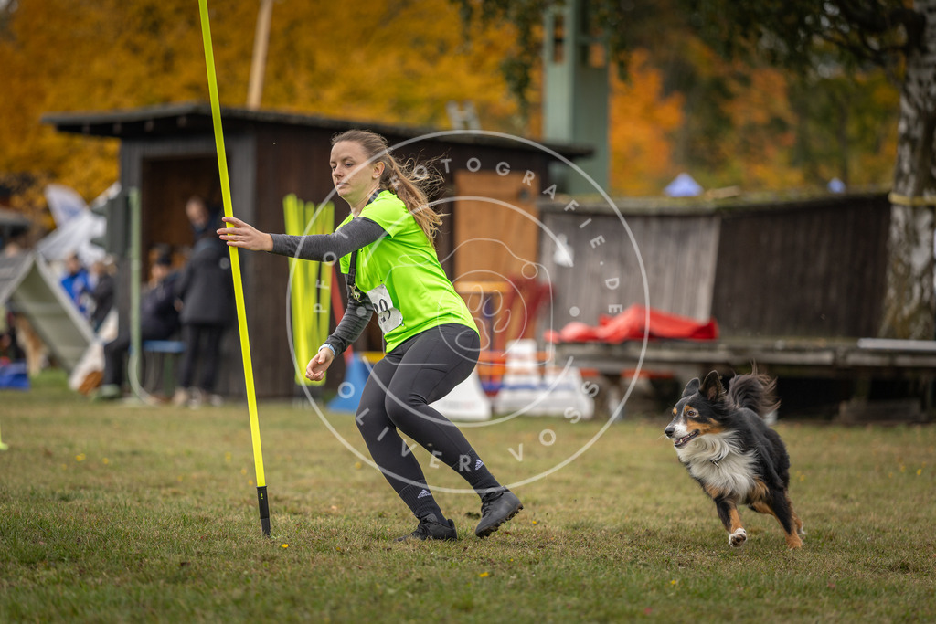 Pfotenfotografie_DV3A6621 | Hundefotografie, Tierfotograf, Pfotenfotografie, Fotoshooting Hund, Hunde Portrait, Hundesport, Hundeportraits, Heideshooting, Hunde, Sportfotograf, Hundefotograf, Turnierhundsport, THS,  - Realisiert mit Pictrs.com