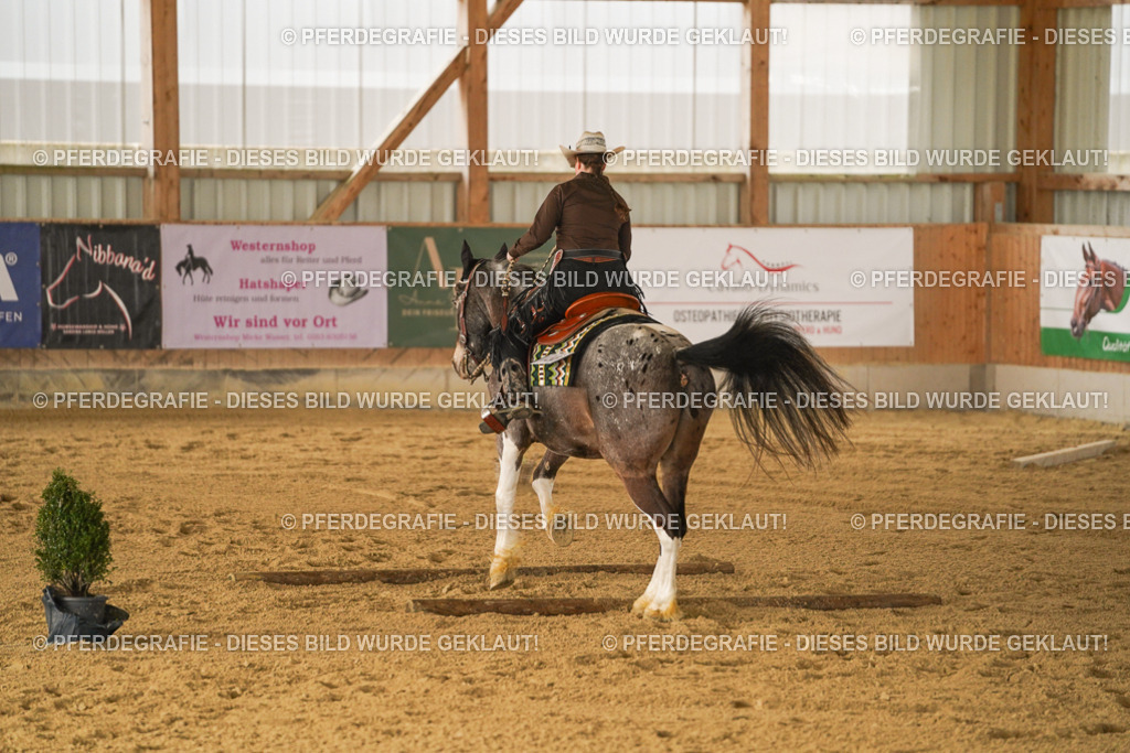 DSC04703 | Pferdegrafie