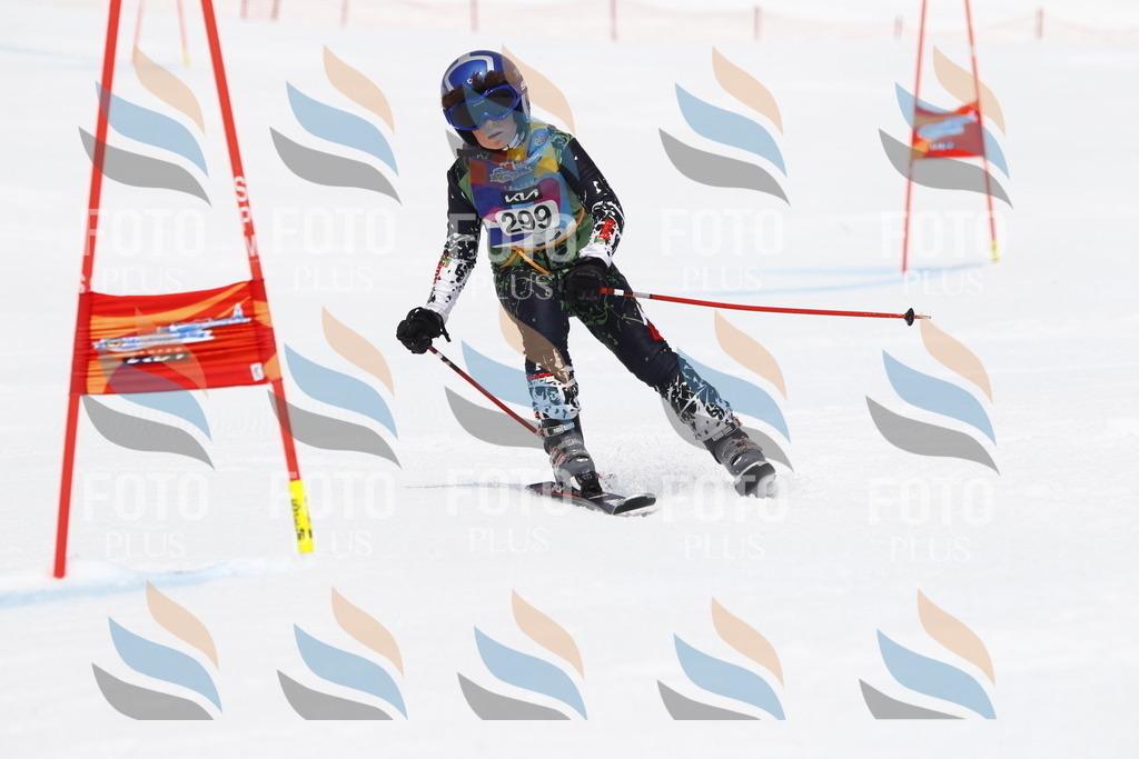 _U3G7452 | holidayphoto