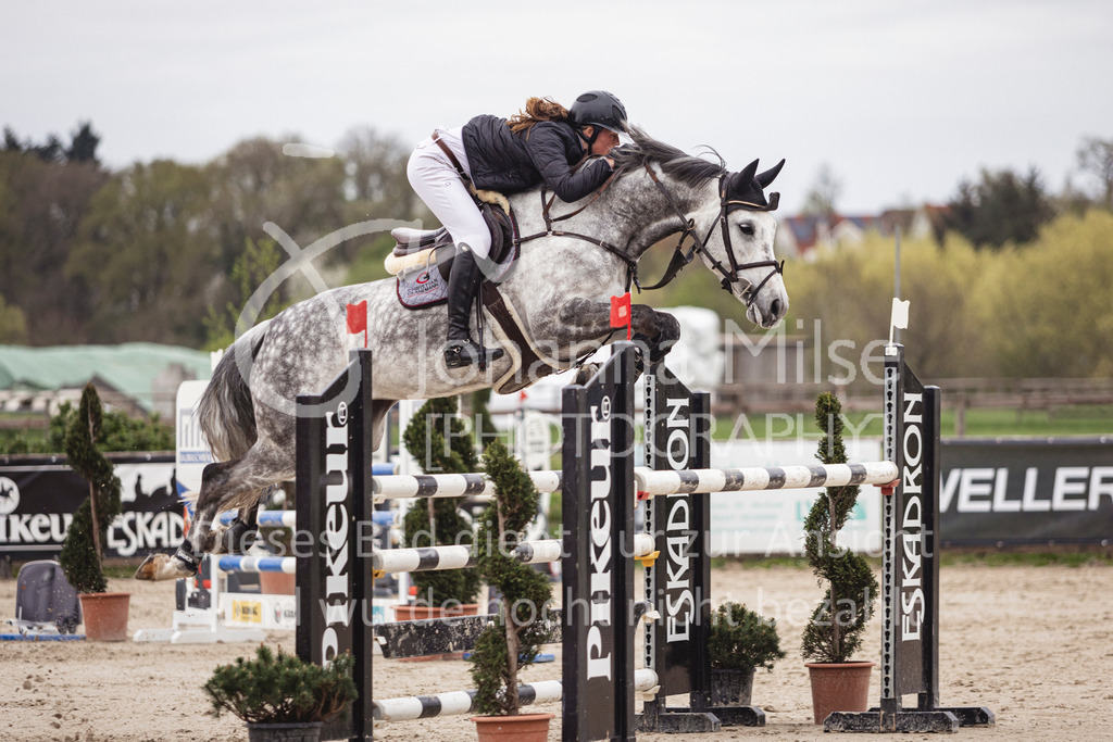 250417_Frühlingsfest_Springpferde-M-137 | Deine schönsten Turniermomente als professionelle Fotos! Entdecke hochwertige Pferdesport-Fotografie im Online-Shop. Jetzt Fotos finden & bestellen!