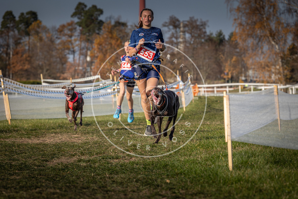 CaniXpix_0L8A9075 | Hundefotografie, Tierfotograf, Pfotenfotografie, Fotoshooting Hund, Hunde Portrait, Hundesport, Hundeportraits, Heideshooting, Hunde, Sportfotograf, Hundefotograf, Turnierhundsport, THS,  - Realisiert mit Pictrs.com