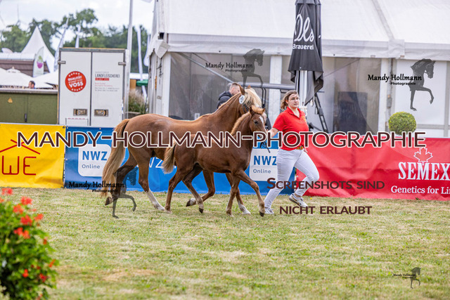 LTN 1 (698 von 918) | mandyhollmannphotographie