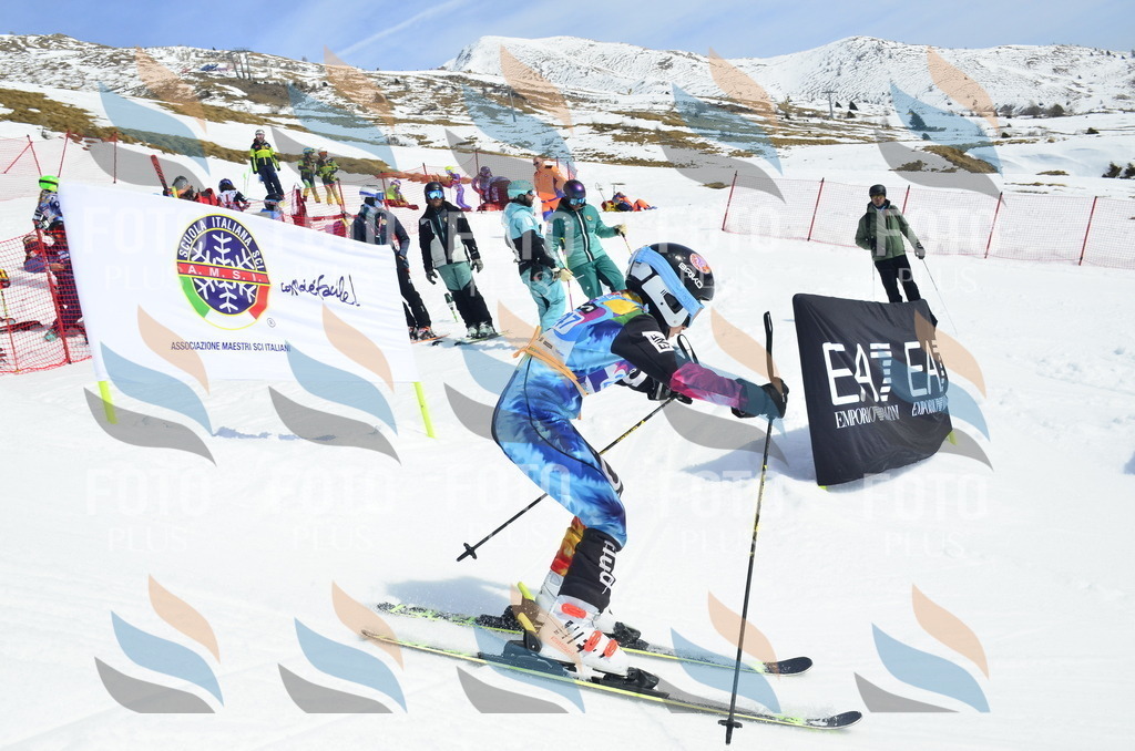 _ELE1798 | holidayphoto