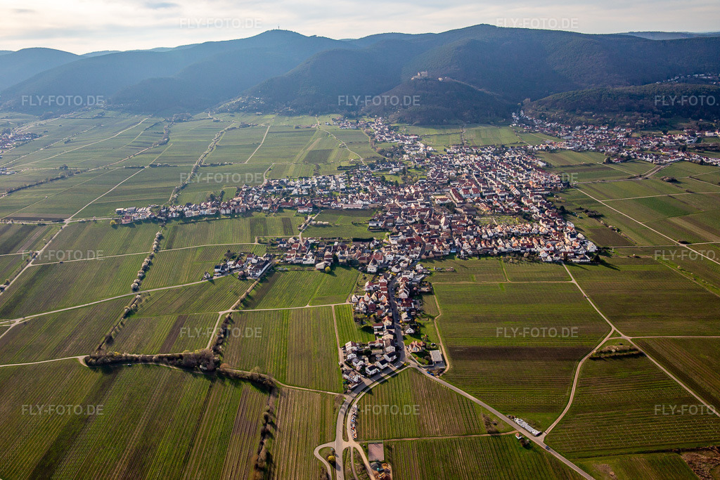 Luftbild: Ortsansicht von Osten im Ortsteil Diedesfeld in Neustadt im Bundesland Rheinland-Pfalz in Deutschland. Foto: IMG_139971.jpg vom 14.03.2024 durch Werner Riehm/FLY-FOTO.de