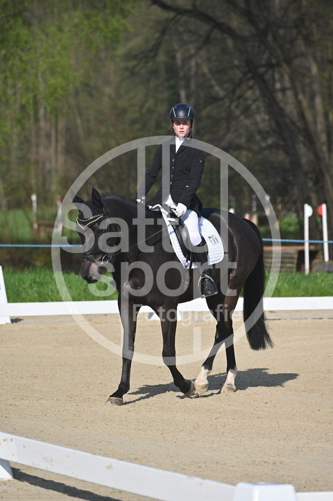 DSC_9947 | sattelsport - Realisiert mit Pictrs.com