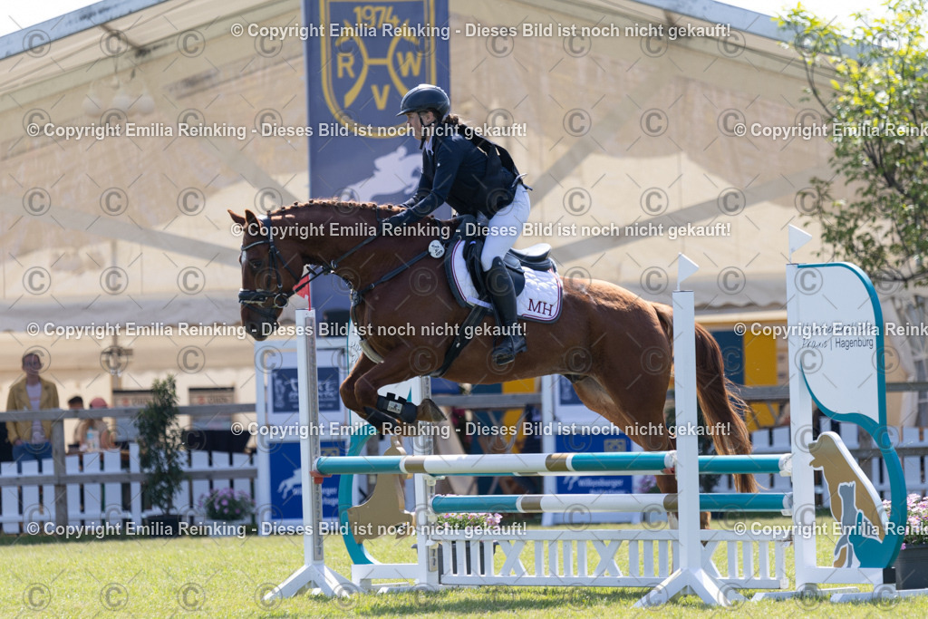 CL5A2112 | Emilia Reinking Fotografie - Realisiert mit Pictrs.com