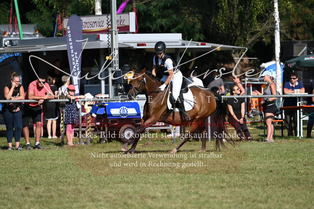 DSC_5313 | Pferde- und Turnierfotografie in Westsachsen. Pferdeportraits, Auftragszeichnungen und intuitive Kunst.