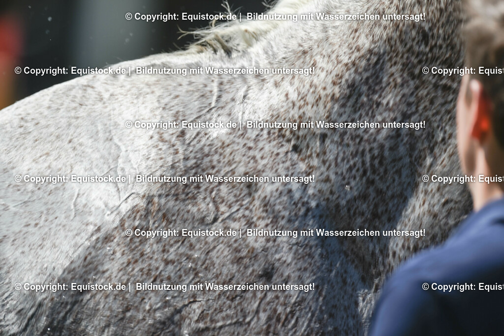 20230527_27_CCI4_Gelände_0244 | equistock