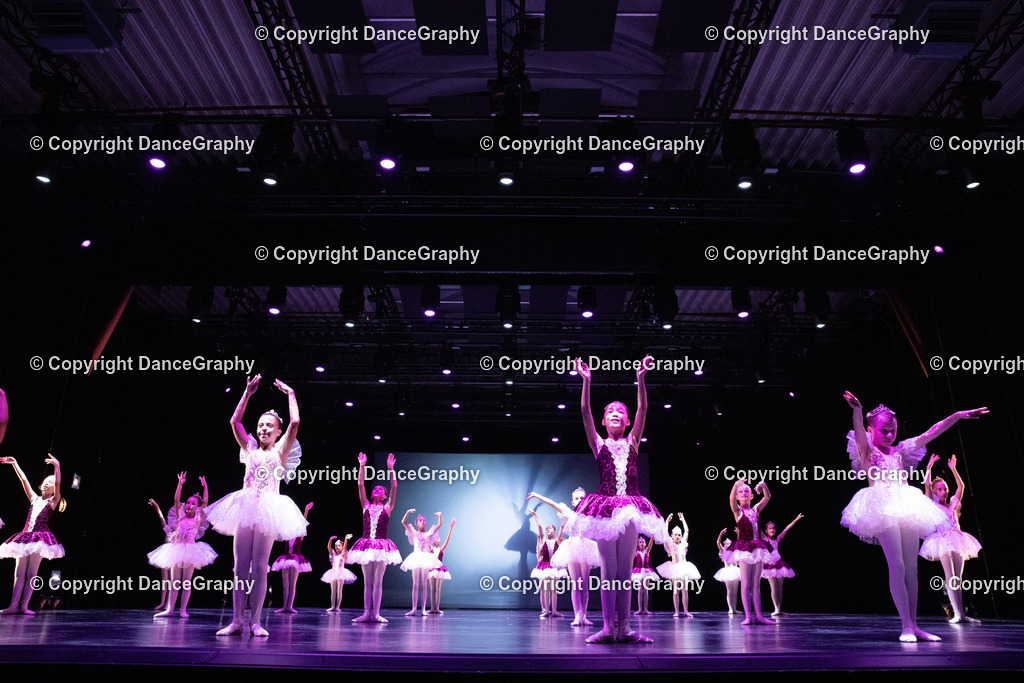 GPHY6464 | DanceGraphy - Realisiert mit Pictrs.com