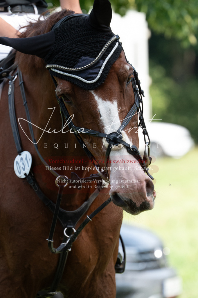 DSC_0667 | Pferde- und Turnierfotografie in Westsachsen. Pferdeportraits, Auftragszeichnungen und intuitive Kunst.