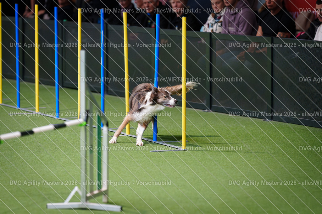 allesWIRTHgut_Tierfotografie-DVG_Agility_Masters_2026-09_40-7R502385 | Professionelle Tierfotografie in Mönchengladbach von Daniel Wirth (allesWIRTHgut). Liebevolle & natürliche Bilder von Hunden & Katzen für unvergessliche Erinnerungen.