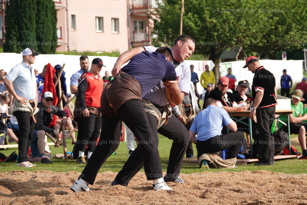 DSC04464 | Schwingen - Realisiert mit Pictrs.com
