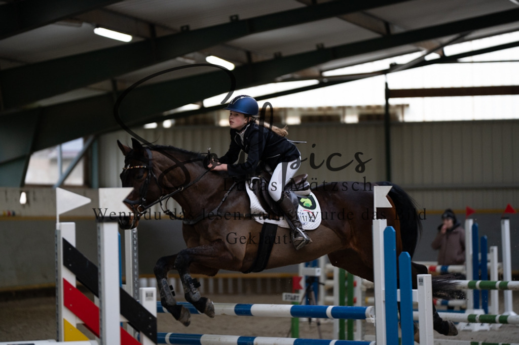 A7V04524 | Pferdefotograf