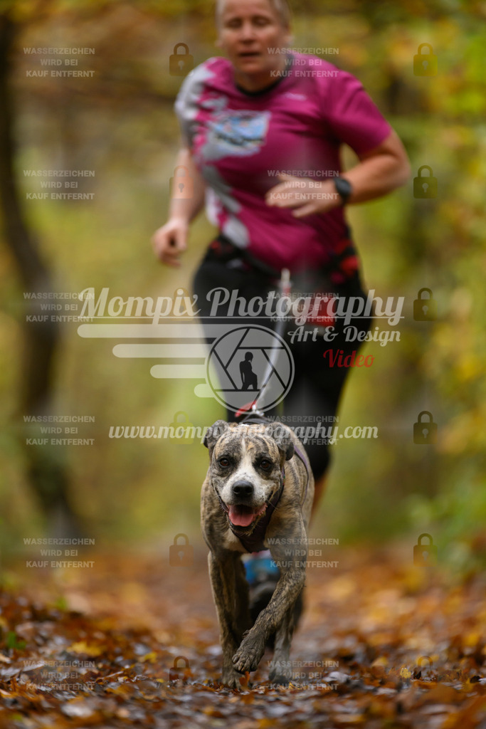 MompixPhotography_CD7S_DI_CCL-165 | mompixphotography