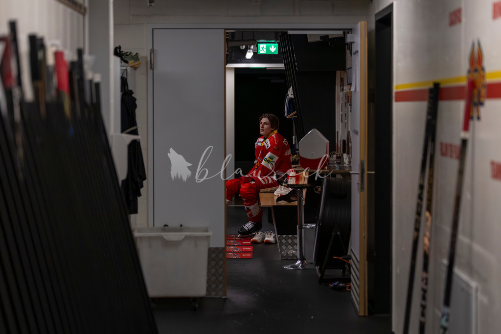 EHCB vs SCB 20260312_wb-3909 | Sportbilder, Sportfotograf, Hochzeits- und Eventfotografin, Flugshows, Portraits und Tiershooting, Aviation, Downhill, Nationalleague, Swissleague, International