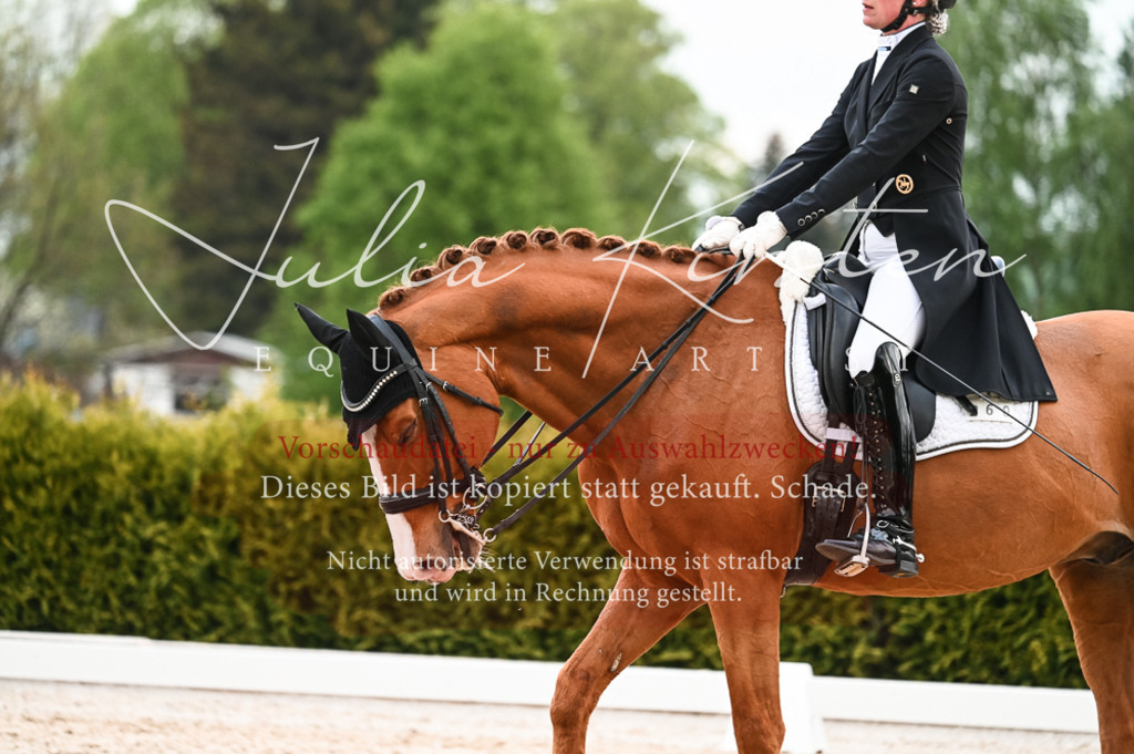 20230513_JK-Röhrsdorf-13-542 | Pferde- und Turnierfotografie in Westsachsen. Pferdeportraits, Auftragszeichnungen und intuitive Kunst.