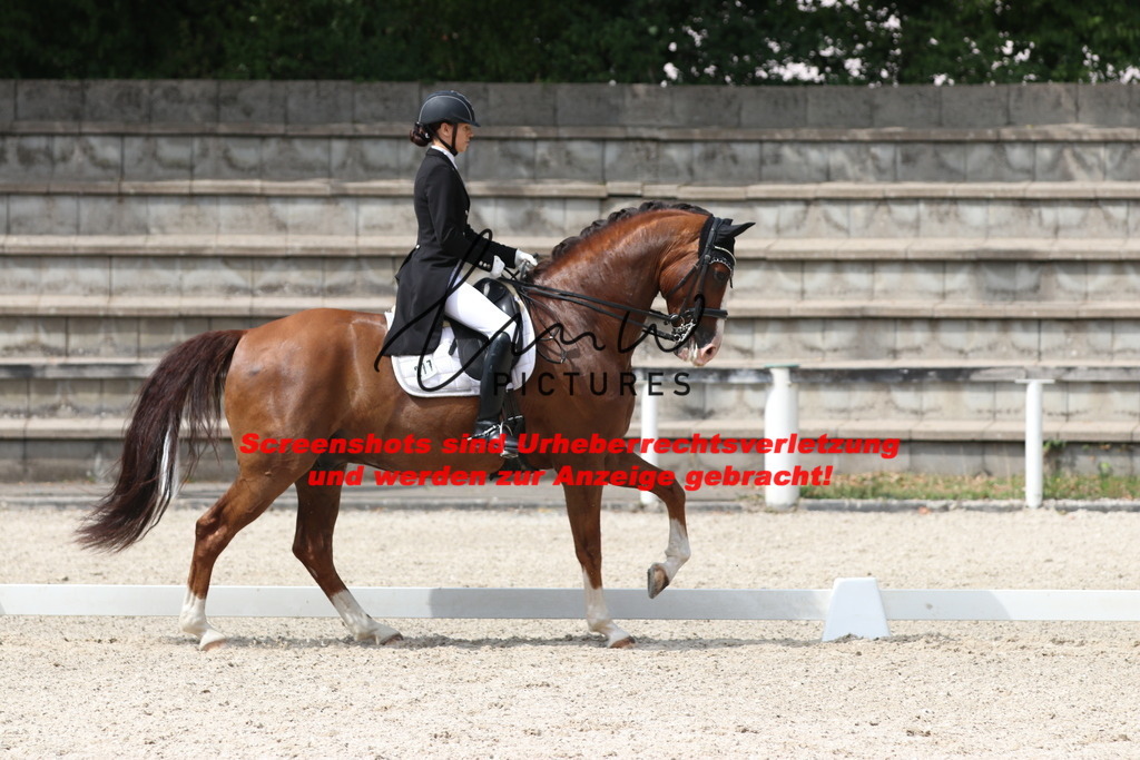 IMG_7121 | lmwpictures - Realisiert mit Pictrs.com