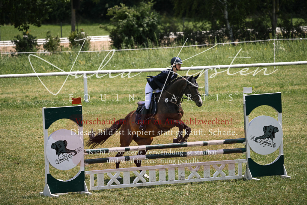 DSC_9566 | Pferde- und Turnierfotografie in Westsachsen. Pferdeportraits, Auftragszeichnungen und intuitive Kunst.