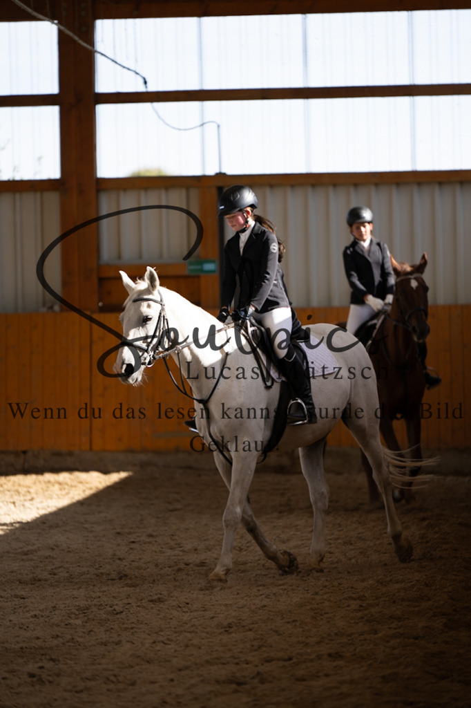 A7V02064 | Turnier/Reitfotograf