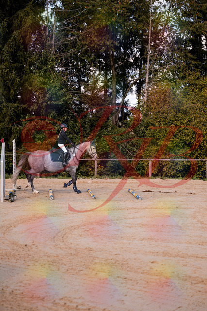 2026_10_03_Siefer-Hof_145034_Z81_28534930 | Professionelle Reitsport-, Turnier- und Eventfotografie von Robert Broda. Galerien mit ausgewählten und bearbeiteten Bildern direkt online ansehen und bestellen.