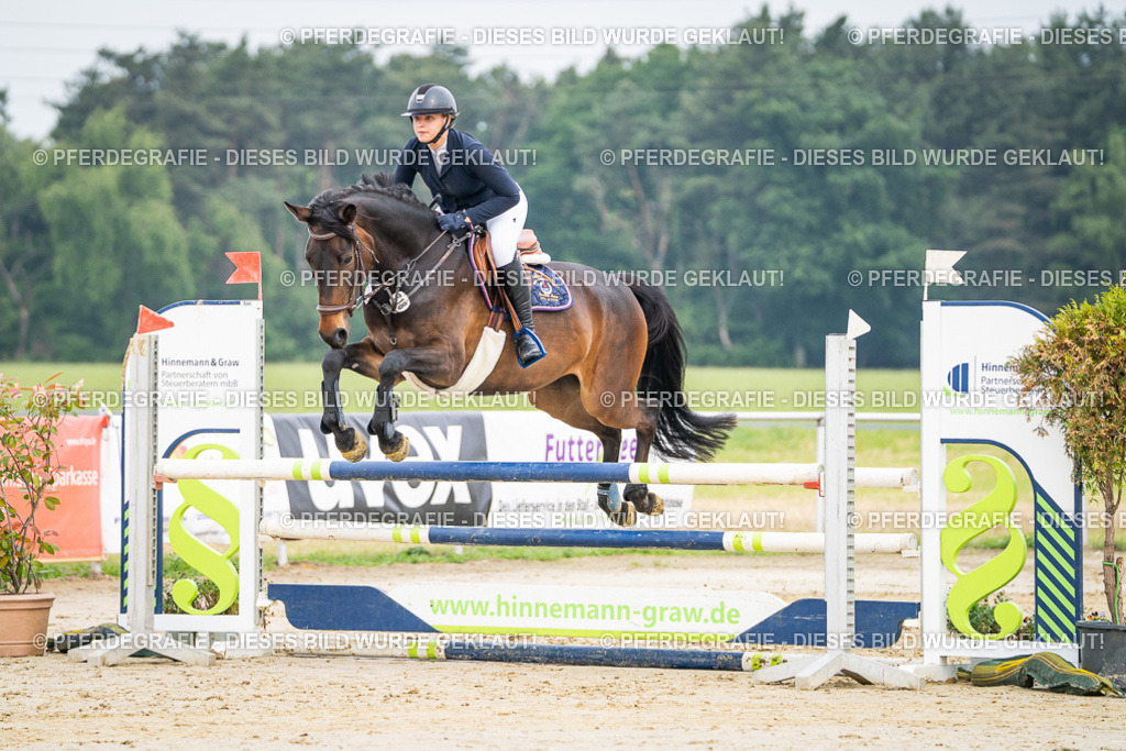 DSC09268 | Pferdegrafie