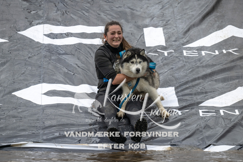 1558_ZZ91747 | kk-dogfotos