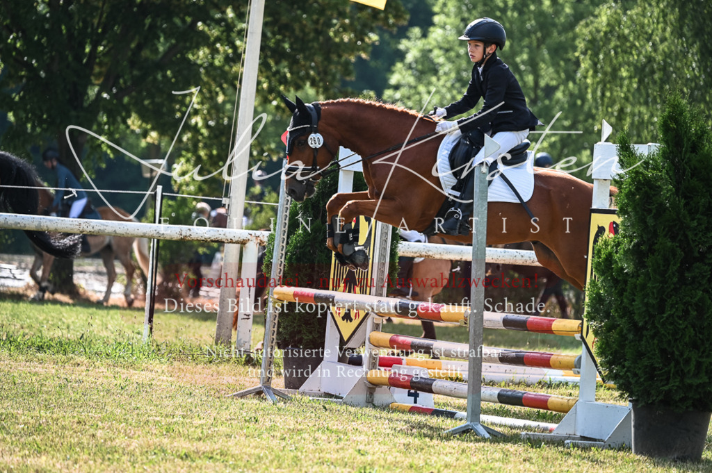 DSC_7784 | Pferde- und Turnierfotografie in Westsachsen. Pferdeportraits, Auftragszeichnungen und intuitive Kunst.