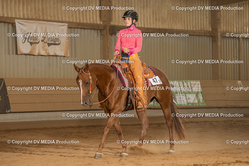 NID03094 | dv-media-shop - Realisiert mit Pictrs.com