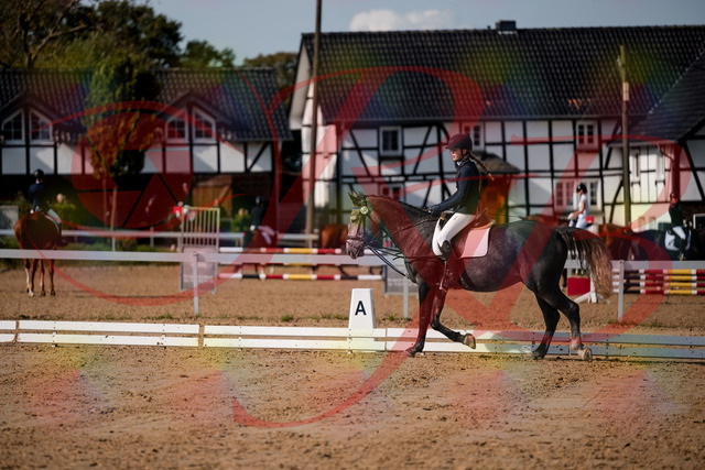 2026_10_03_Siefer-Hof_120108_Z63_33175573 | Professionelle Reitsport-, Turnier- und Eventfotografie von Robert Broda. Galerien mit ausgewählten und bearbeiteten Bildern direkt online ansehen und bestellen.