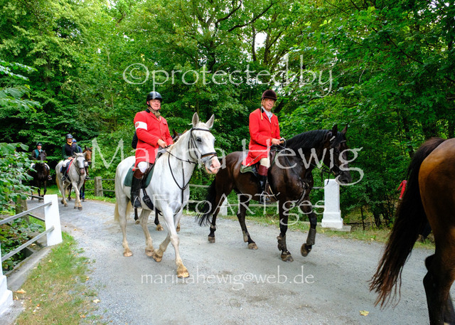 Jagd Knoop 26_MarinaHewigDSCF8802 | Fotografie, FotoArt, PferdesportArt, Pferdesportfotografie, Landschaftsfotografie, Reisefotografie, Reise, Pferde - Realisiert mit Pictrs.com