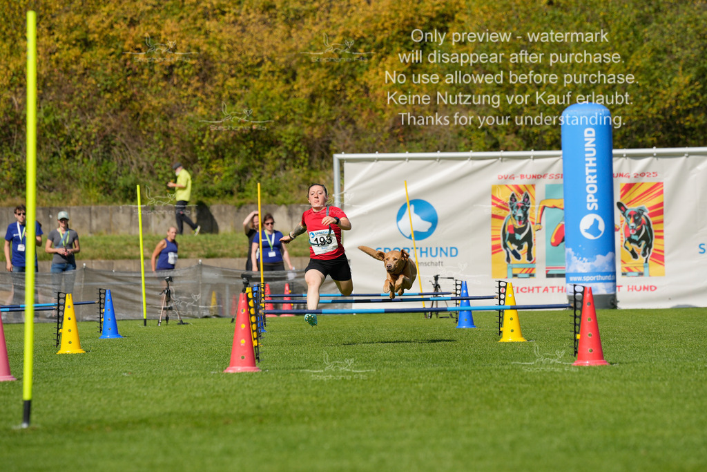 Samstag_Hürden (1458 von 1617) | stephaniefillaphotographie - Realisiert mit Pictrs.com