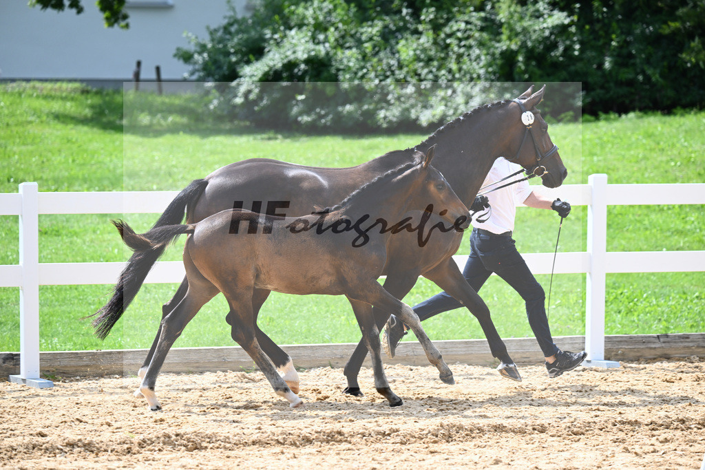 Kat-Nr. 29 Esperanto x Spoercken_Vogt_27140889 | hf-fotografie - Realisiert mit Pictrs.com