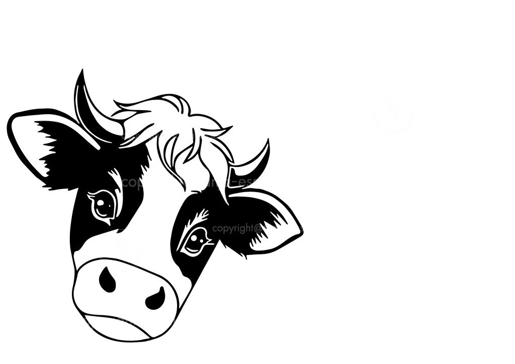 Kuh Kopf niedlich D | Niedliche junge Kuh mit schwarzen Flecken als Icon. Illustration der Outlines vor weißem Hintergrund mit Copy Space. 