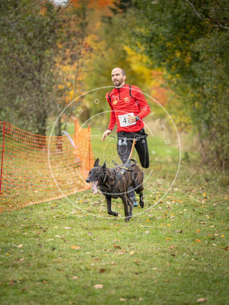 Pfotenfotografie_DV3A2302 | Hundefotografie, Tierfotograf, Pfotenfotografie, Fotoshooting Hund, Hunde Portrait, Hundesport, Hundeportraits, Heideshooting, Hunde, Sportfotograf, Hundefotograf, Turnierhundsport, THS,  - Realisiert mit Pictrs.com
