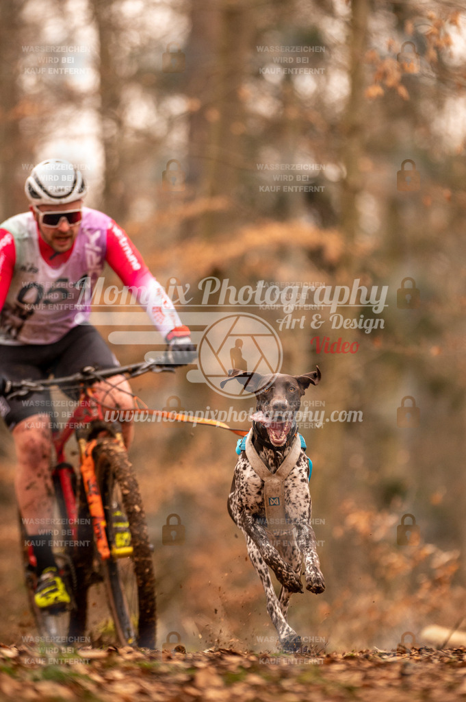 AKM_ST_2023_SAM_Bike-4 | PayLife