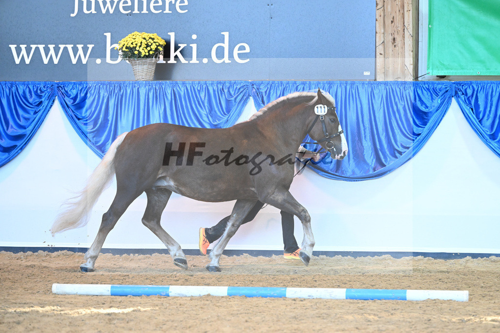 Kat-Nr. 111 Feine Lioba_ZG Schmidt-Schroeder_53220799 | hf-fotografie - Realizzato con Pictrs.com