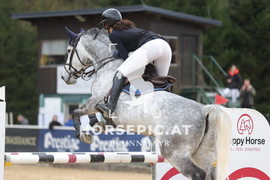0P6A3796 | Willkommen bei Brunnmayr - Design & Fotografie – Ihrem Spezialisten für Reitturniere und Pferdeveranstaltungen in Oberösterreich, Salzburg und Bayern! Seit über 17 Jahren sind wir leidenschaftlich dabei.