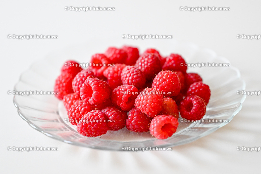 Erdbeeren_ Himbeeren_ Ribisel_ Mayer_ 20.06.2023-36 | 20.06.2023, Raffelding, AUT, Erdbeeren, Himbeeren, Ribisel, Mayer, im Bild Himbeeren